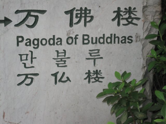 pagodaofbuddhas.jpg